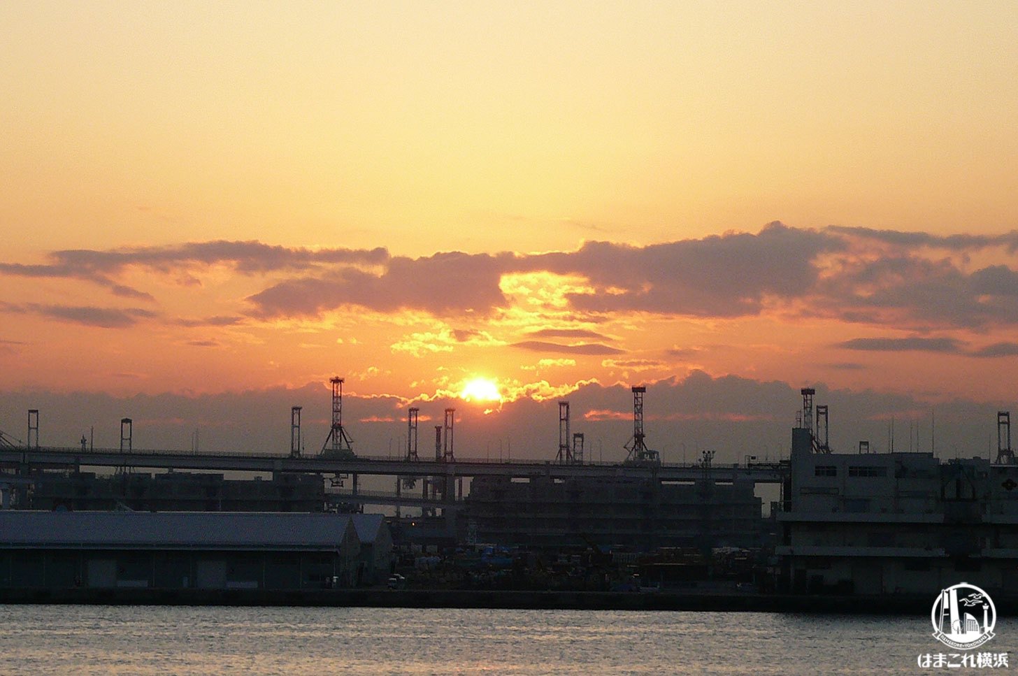 横浜の初日の出スポット「横浜港大さん橋客船ターミナル」から新年迎えてきた！