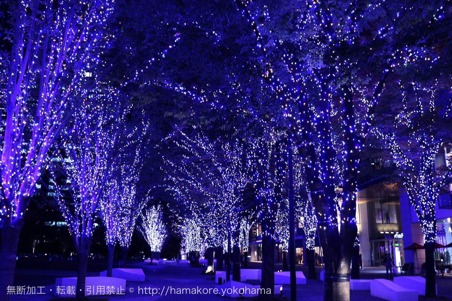 yuki_yuki07 | 今年の東京ミッドタウン日比谷のクリスマス