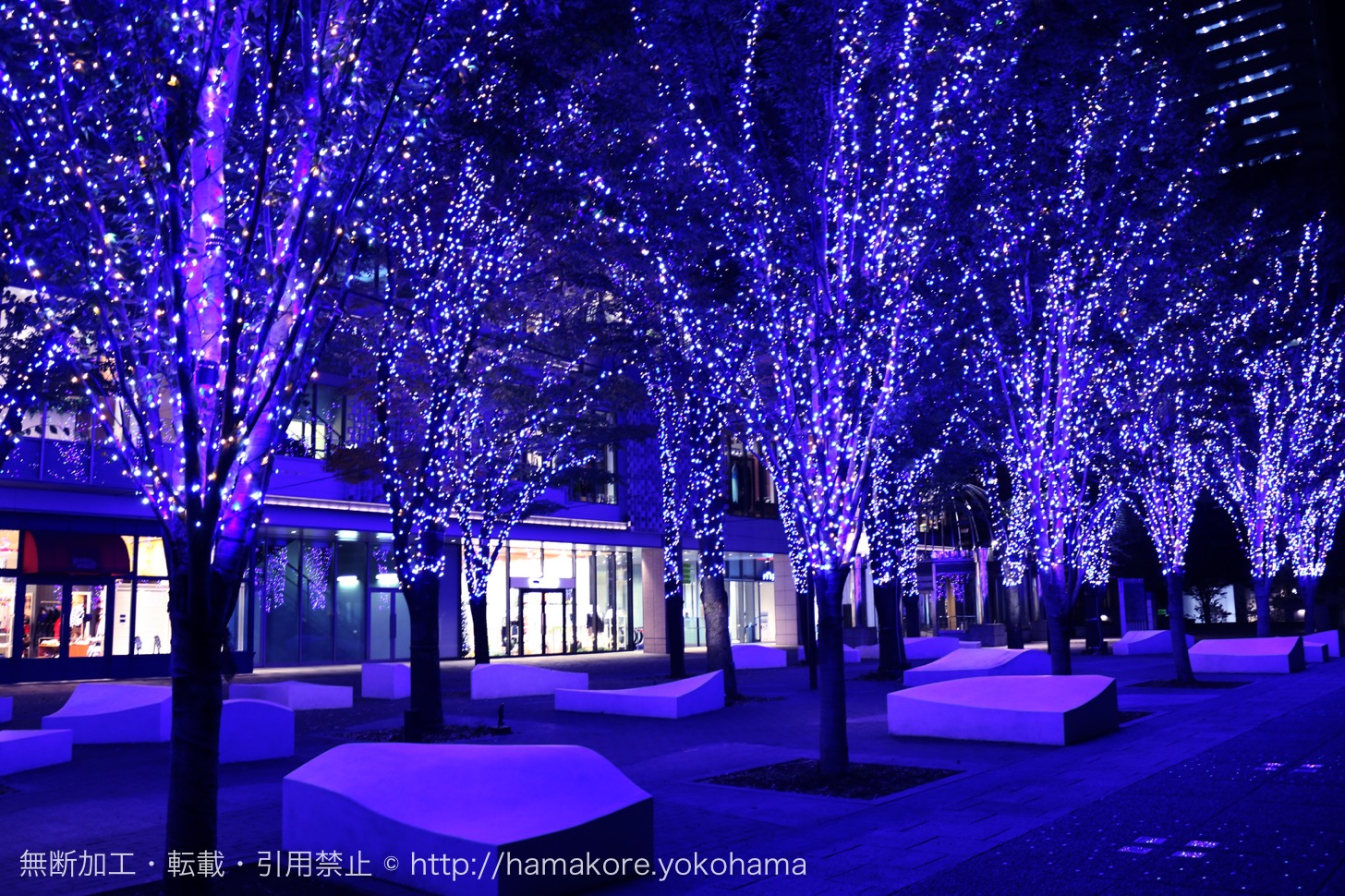 横浜「MARK IS」でクリスマスツリーが点灯！みなとみらい最大級