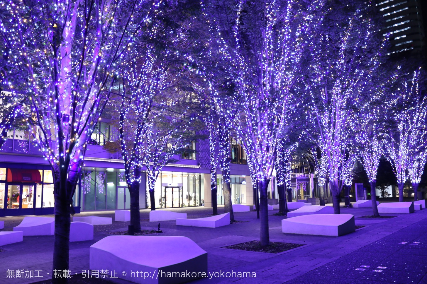 横浜「MARK IS」でクリスマスツリーが点灯！みなとみらい最大級