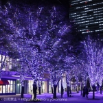 横浜「MARK IS」でクリスマスツリーが点灯！みなとみらい最大級の幻想的イルミネーションも