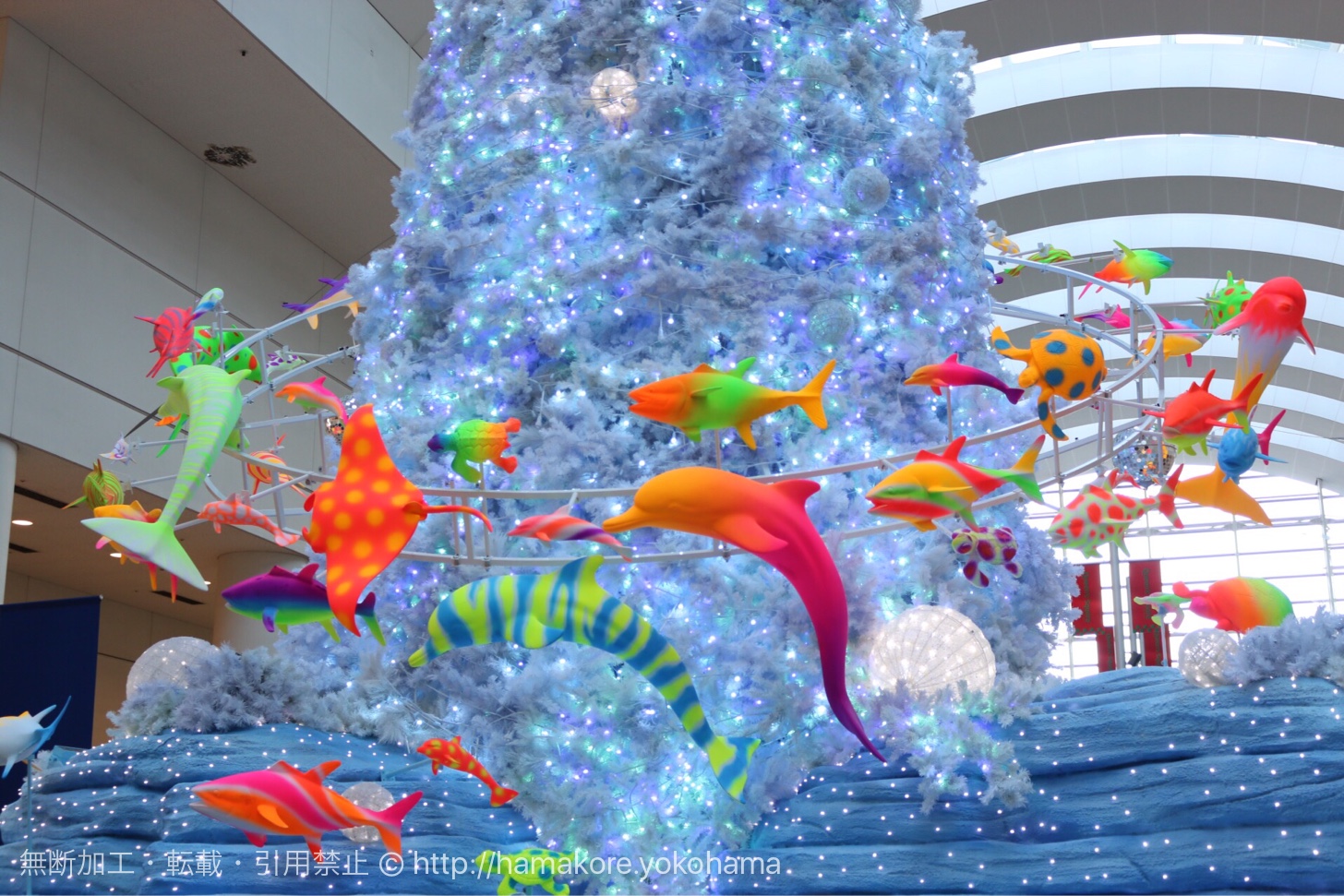 クイーンズスクエア クリスマス 2016のツリーが登場！海の生き物に囲ま