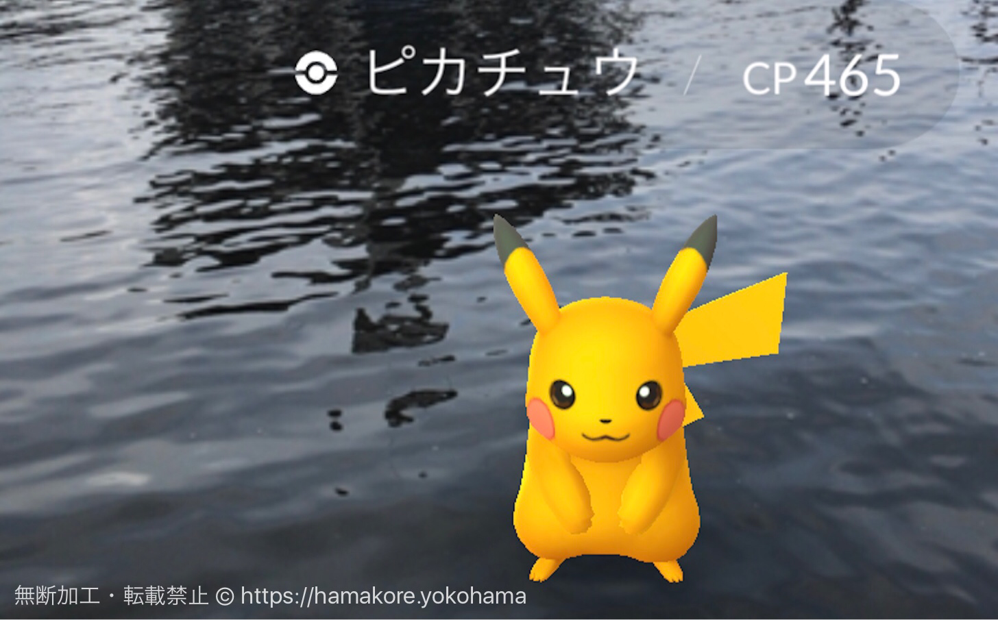 横浜 ポケモンgoパーク 色違い 日焼け ピカチュウは野生でゲットできた はまこれ横浜