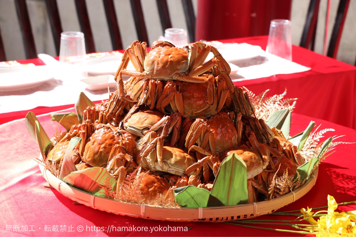 横浜中華街で「上海蟹フェア」が開催中！臭みのない超濃厚蟹ミソが格別