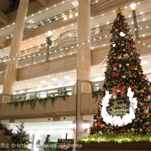 横浜「ランドマークプラザ」のクリスマスツリーが点灯！2017年はピーターラビット™が彩る