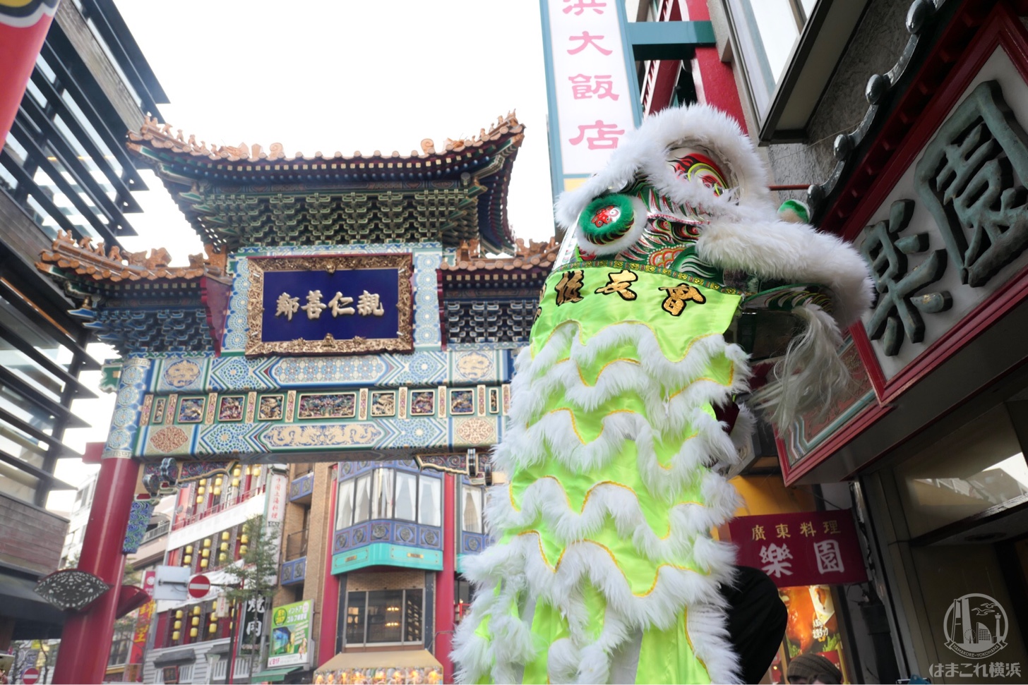 横浜中華街 採青 ツァイチン で春節独特な雰囲気に包まれる 爆竹や太鼓音鳴り響く はまこれ横浜 横浜中華街 採青 ツァイチン で春節独特な雰囲気に包まれる 爆竹や太鼓音鳴り響く はまこれ横浜