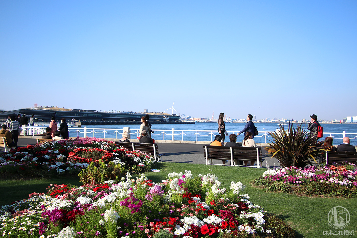 山下公園 はまこれ横浜