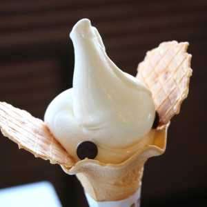 象の鼻テラスのソフトクリームは横浜港を眺めて食べたい可愛いスイーツ！