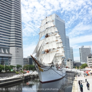 帆船日本丸「総帆展帆」を9月23日に開催！2018年開催はあと2回