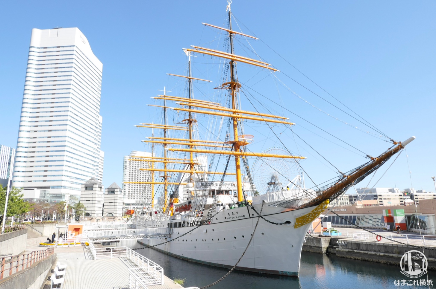 帆船日本丸が総帆展帆 29枚の帆、広がる - ヨコハマ経済新聞
