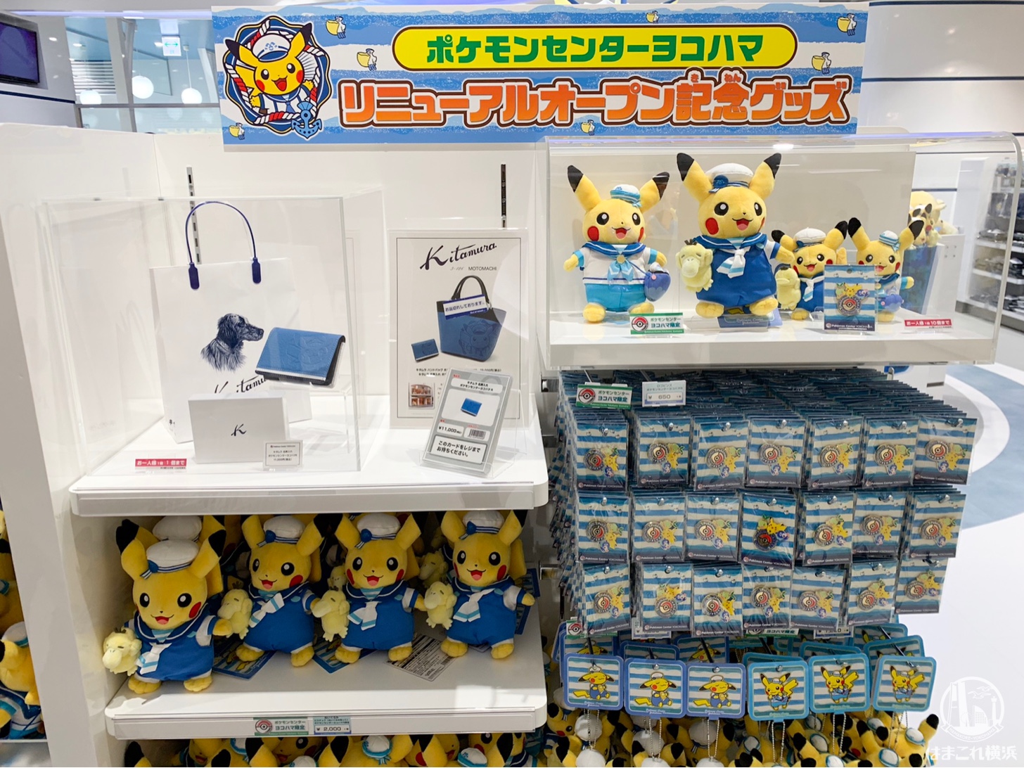 横浜駅「ポケモンセンター ヨコハマ」でプロモカードゲット！広くて誰でも入りやすく | はまこれ横浜