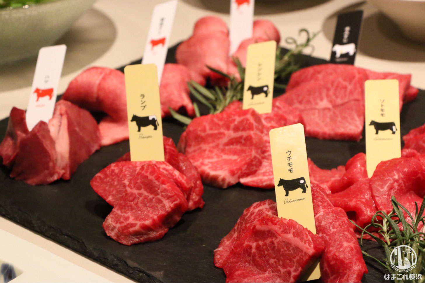 エイジング ビーフ横濱 熟成 した黒毛和牛を焼肉で 格別な旨さに感動の嵐 はまこれ横浜