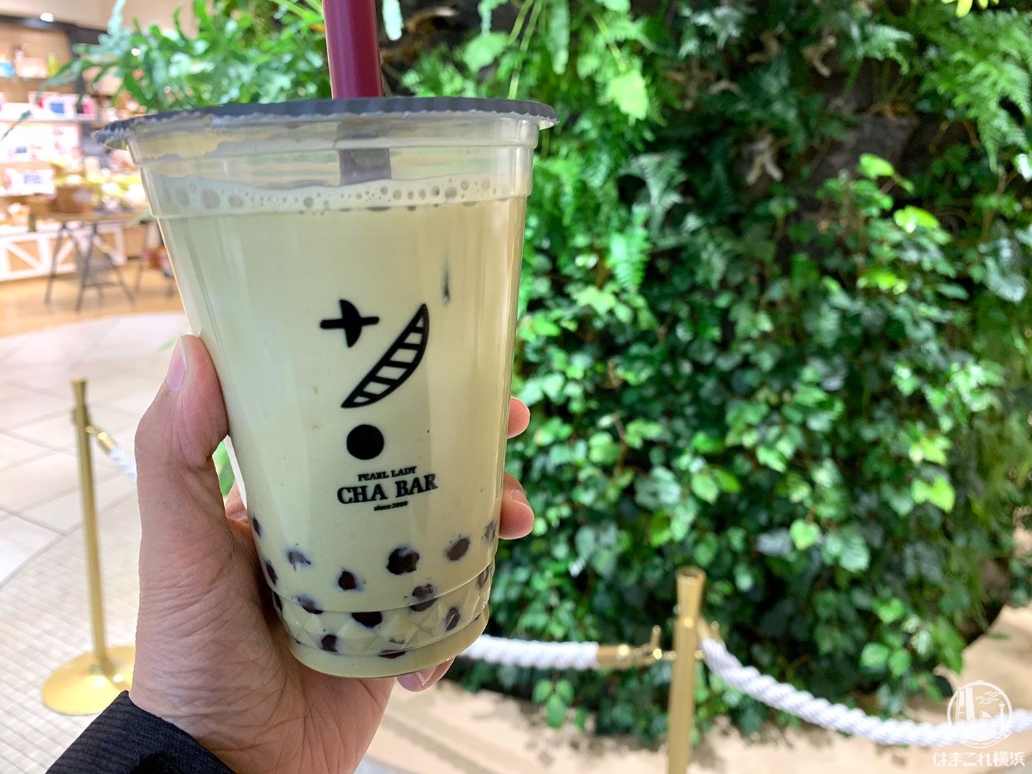 茶bar バー 横浜で 霧ほうじ茶ミルク 濃霧 も飲んでみた 大粒タピオカ安定の美味 はまこれ横浜