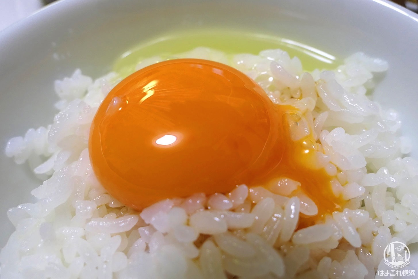 【たまご】 緑の一番星 田子たまご村 青森県田子町産 | G-Callショッピング