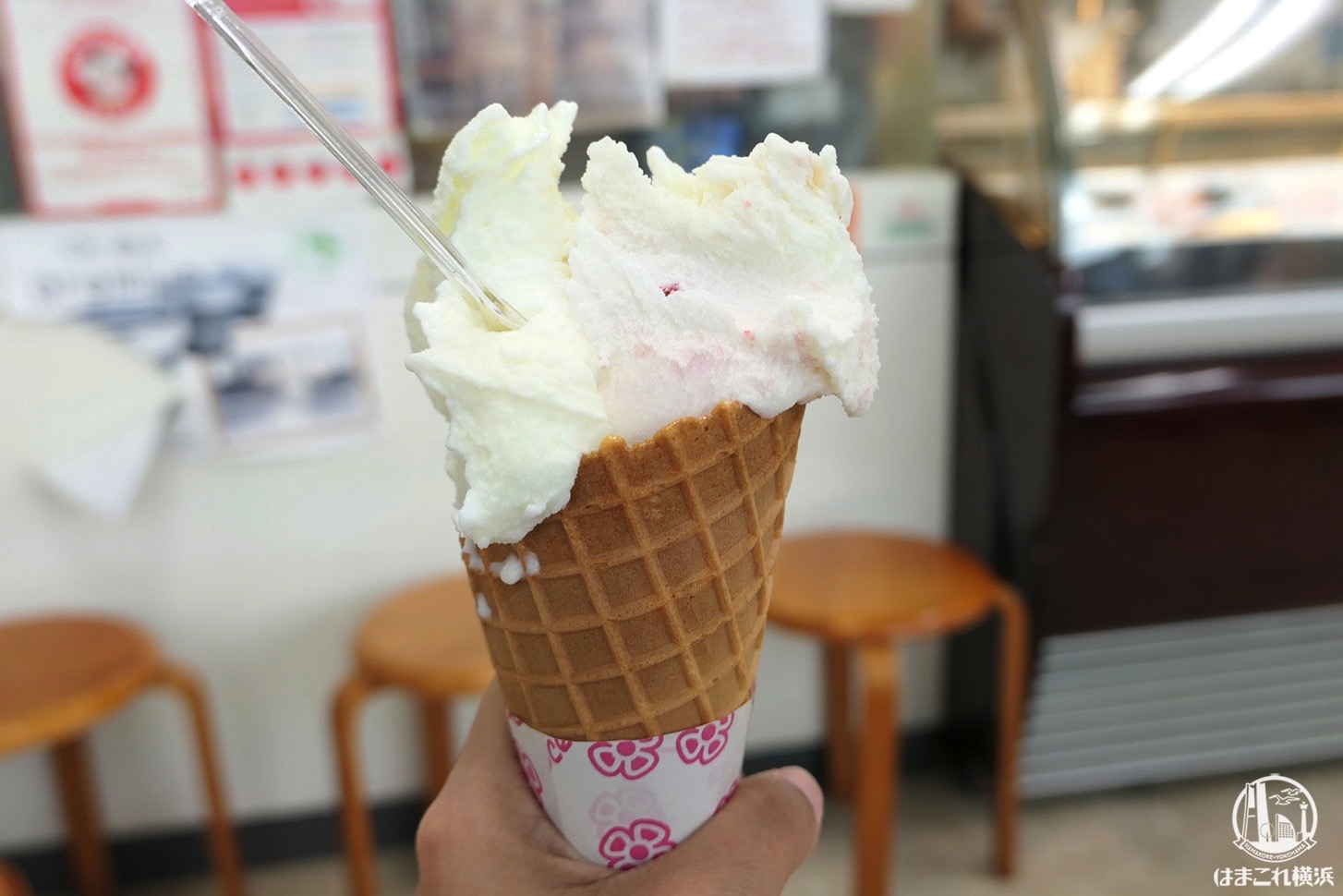 神奈川 藤沢 飯田牧場 で牧場のジェラート食べて来た ソフトクリームは売り切れ はまこれ横浜