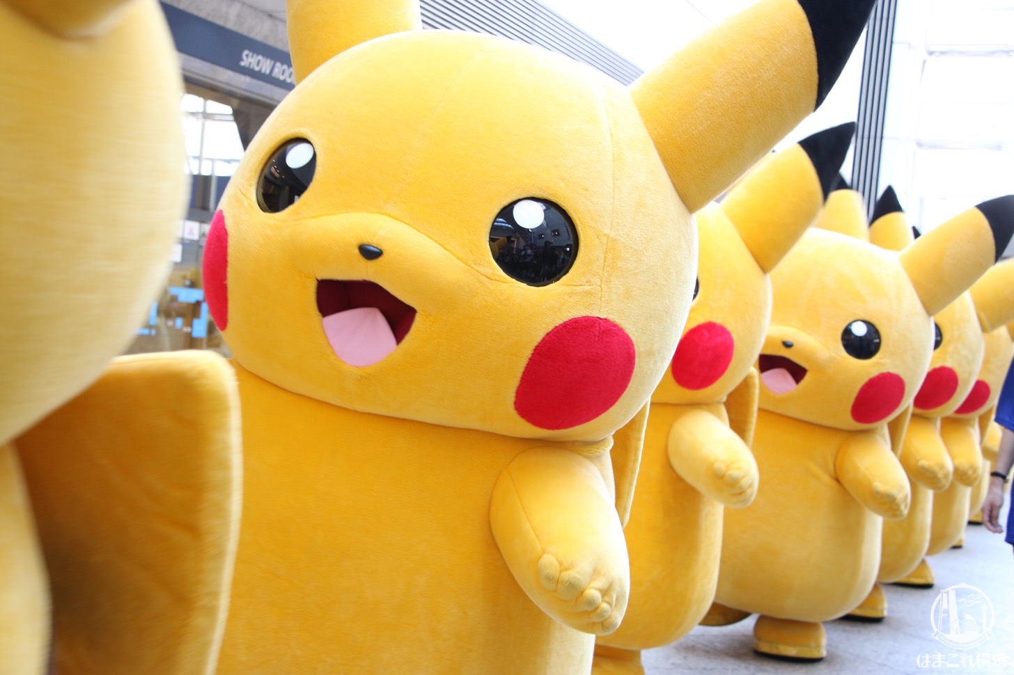 ピカチュウ　大量発生セット！　計19枚 2014 ピカチュウ PSA 10 - カルドバ