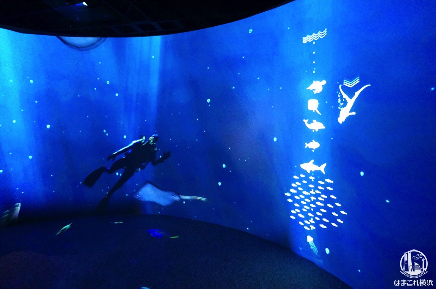 オーシャン バイ ネイキッド 光の深海展は幻想的世界の連鎖！横浜
