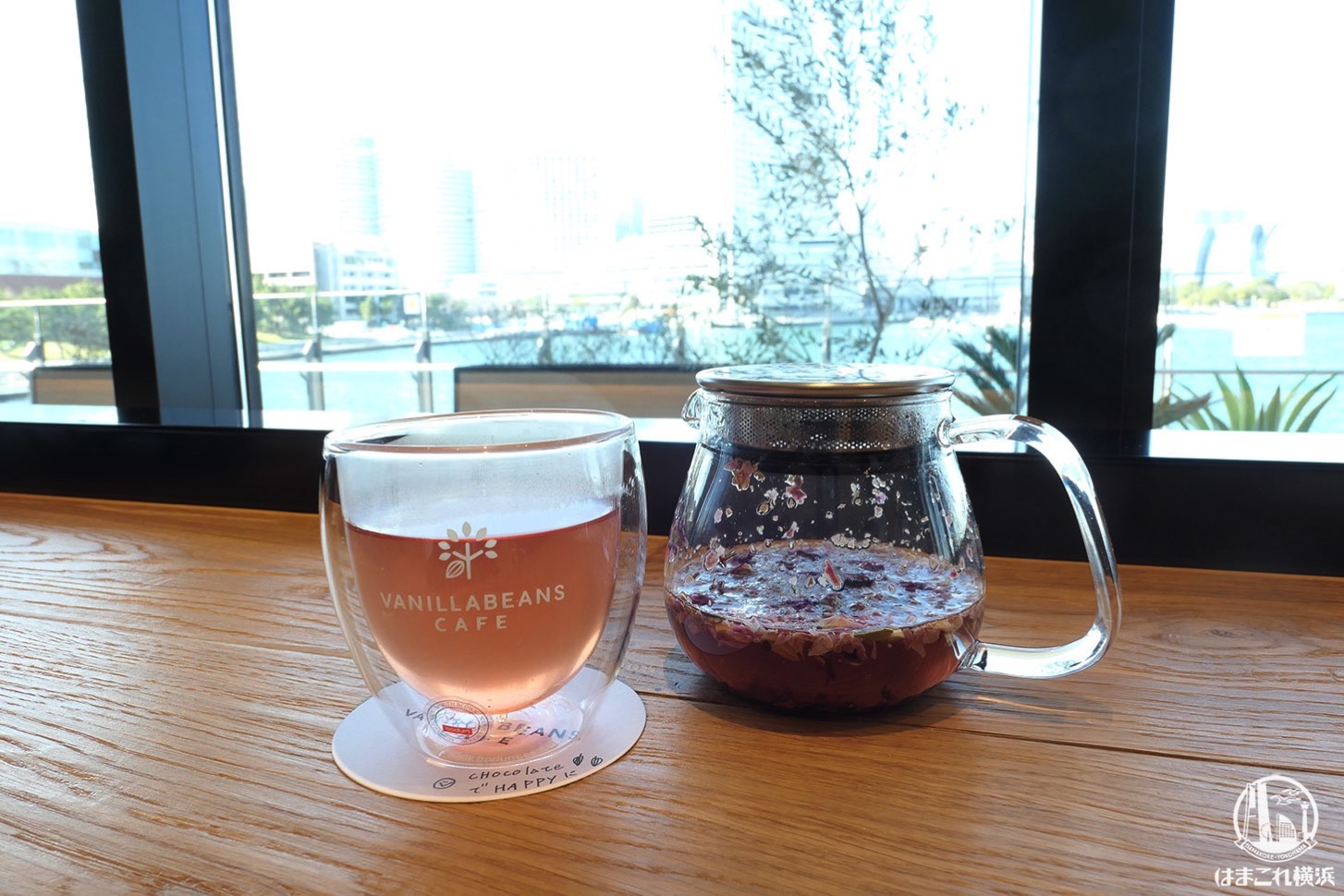 バニラビーンズ 横浜ハンマーヘッドでお花とカカオのティー体験！眺め