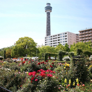 ガーデンネックレス横浜2020、5月31日まで開催中止 バラ園や里山ガーデン閉鎖