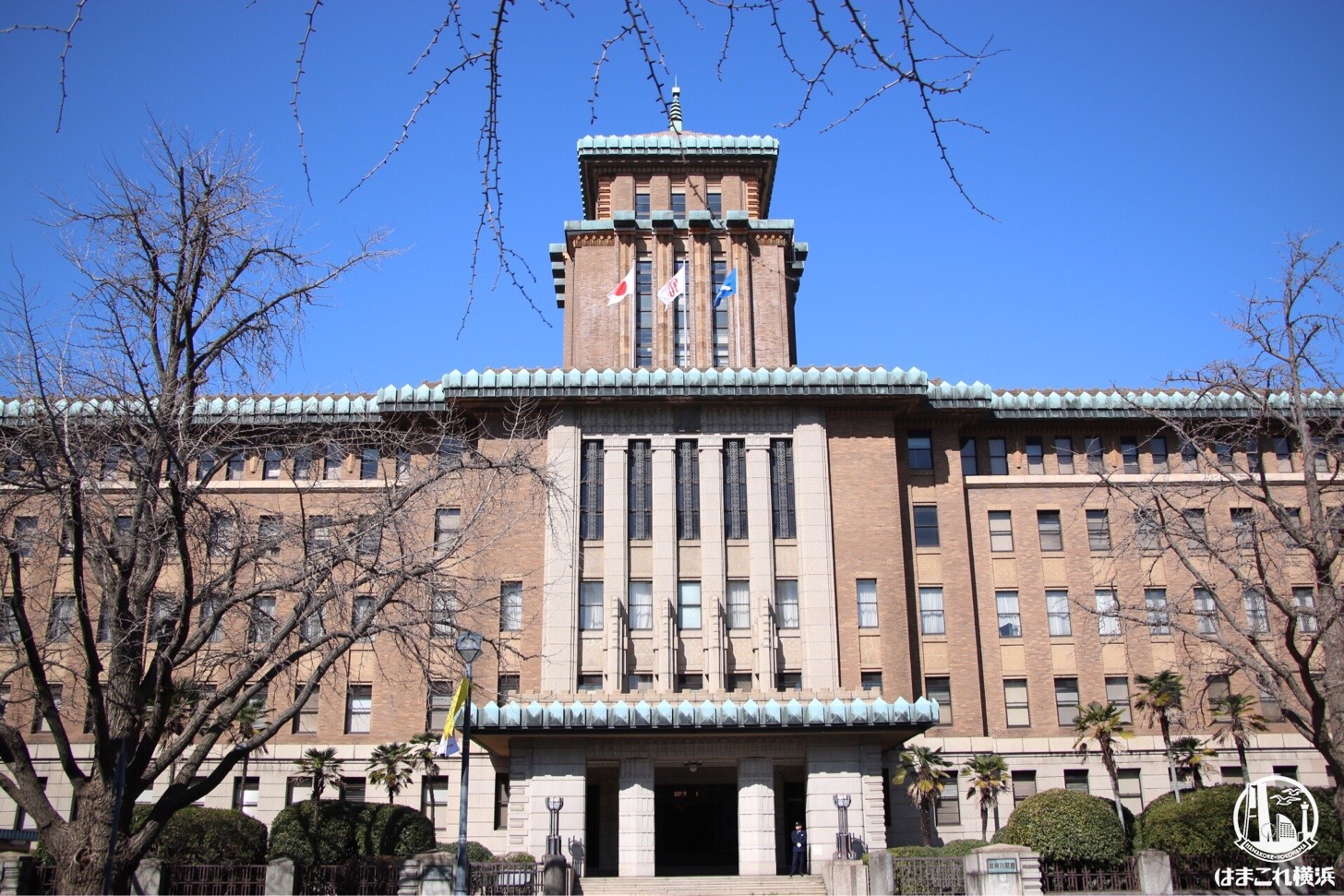 神奈川県 年夏の県立都市公園の屋外プール利用中止 はまこれ横浜