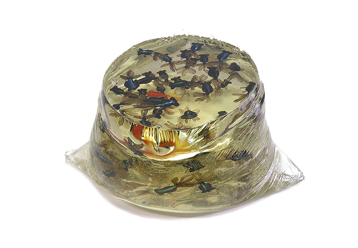 新品❣️和の希少品SWAROVSKI CRYSTAL 金魚 新品❣️和の希少品SWAROVSKI CRYSTAL 金魚 【公式通販】