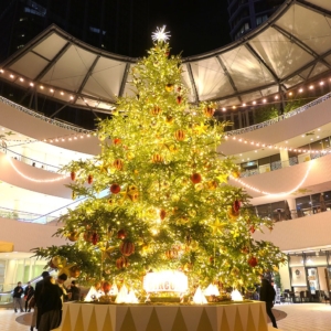 2020年横浜ベイクォーターのクリスマスツリー点灯！メリーゴーランドは回転時間あり