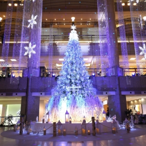 2020年横浜ランドマークプラザのクリスマスツリー点灯！1日4回ライトアップショー