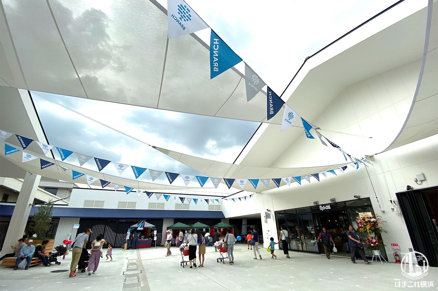 アド街ック天国 横浜南部市場 に登場したグルメやスポットまとめ はまこれ横浜