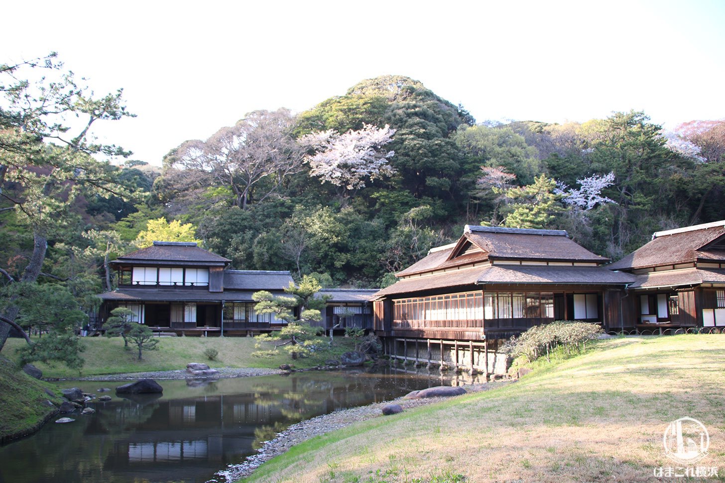横浜・三渓園の見どころ徹底レポ！春は桜・秋は紅葉と季節を楽しめる
