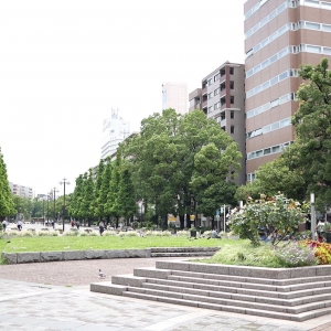 大通り公園横浜の約1.2キロ散歩！石の広場や水の広場、自然も結構豊かなスポット