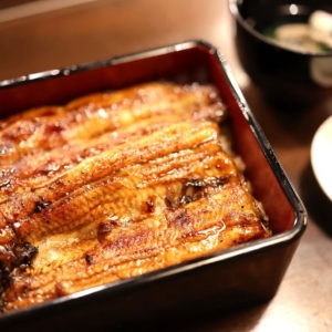 鰻松の「鰻重」はタレの甘さ控えめで“うなぎ”絶品！横浜・金沢八景の老舗鰻屋
