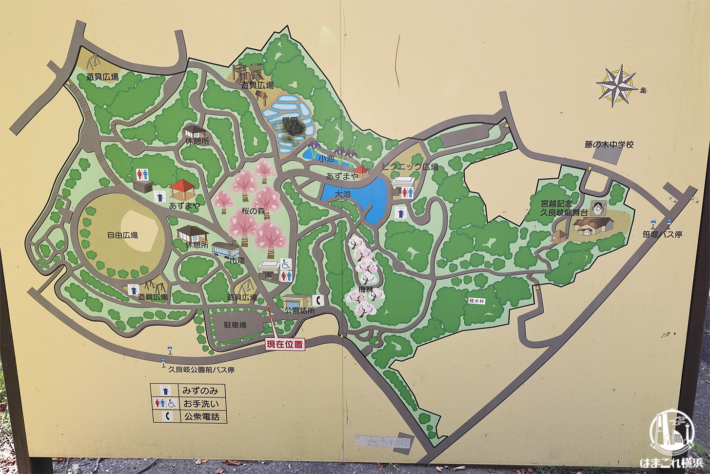 久良岐公園 マップ