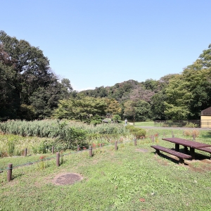 横浜・久良岐公園は自然豊かで散策やピクニックにぴったり！芝生広場はのびのび遊べる