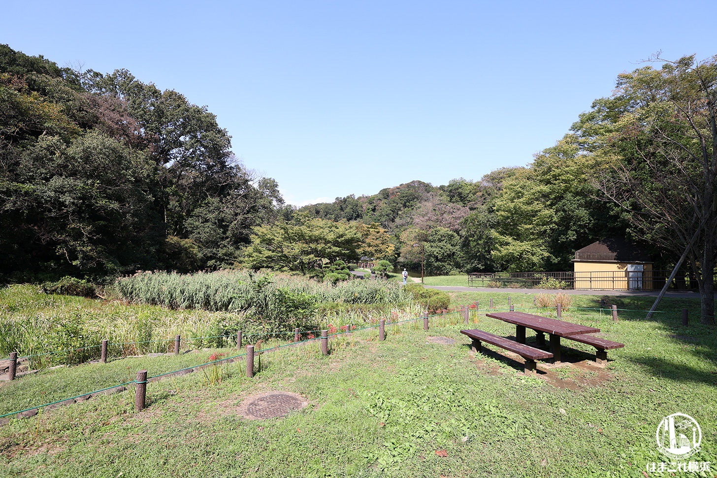 久良岐公園（横浜・上大岡）は自然豊かで散策やピクニックにぴったり！遊具も充実