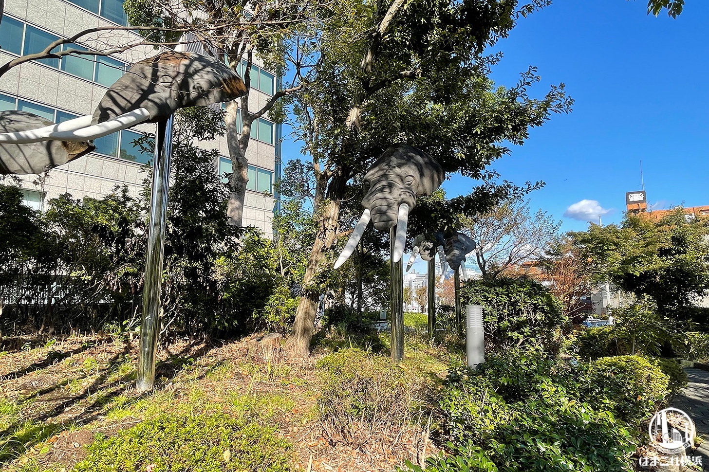横浜ビジネスパークで見つけたパブリックアート 象