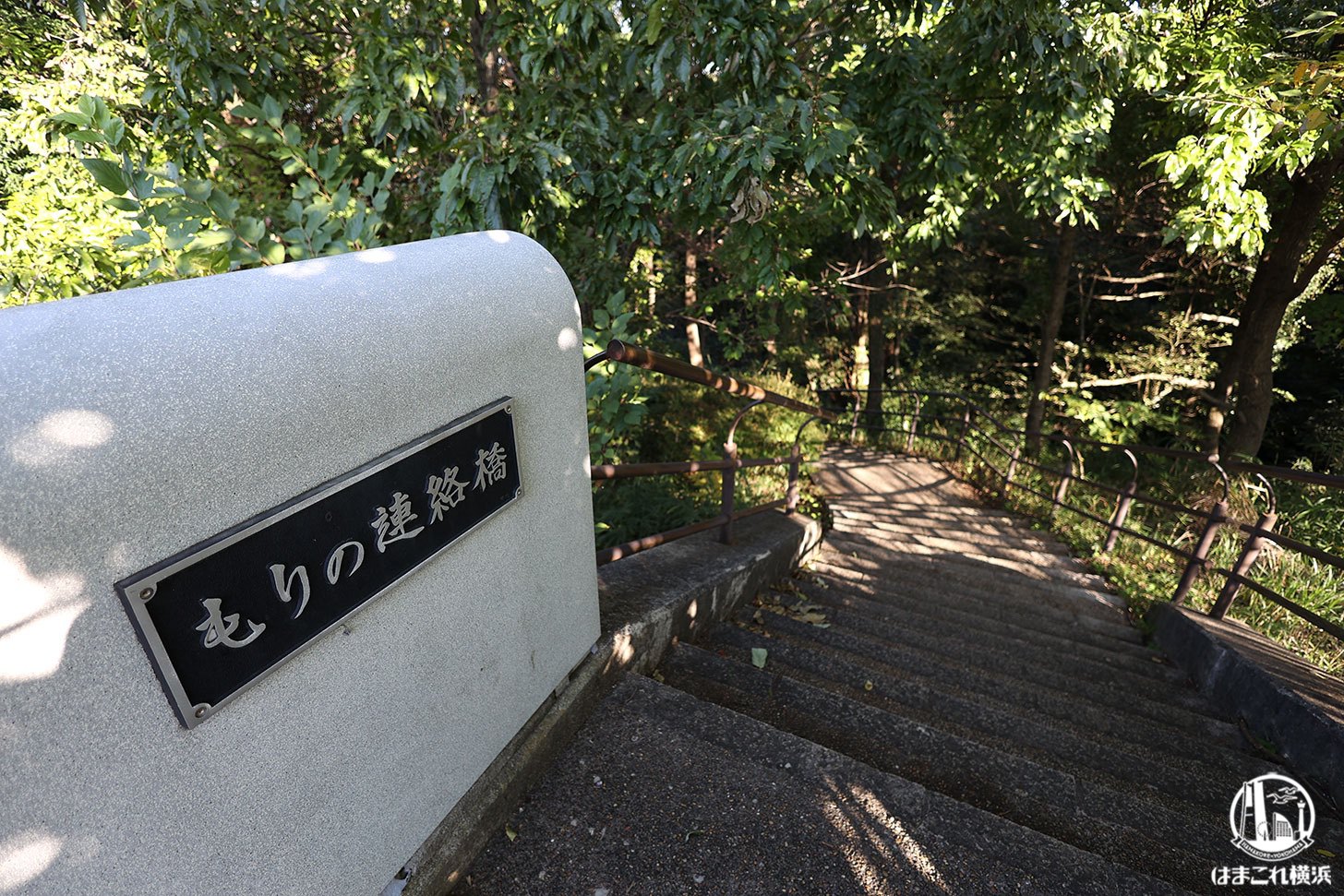 県立四季の森公園 もりの連絡橋