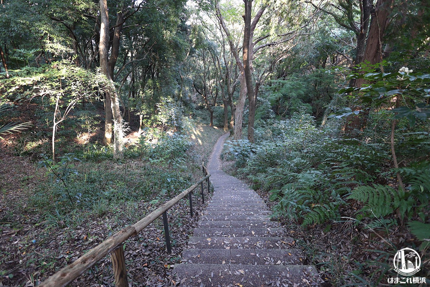 県立四季の森公園