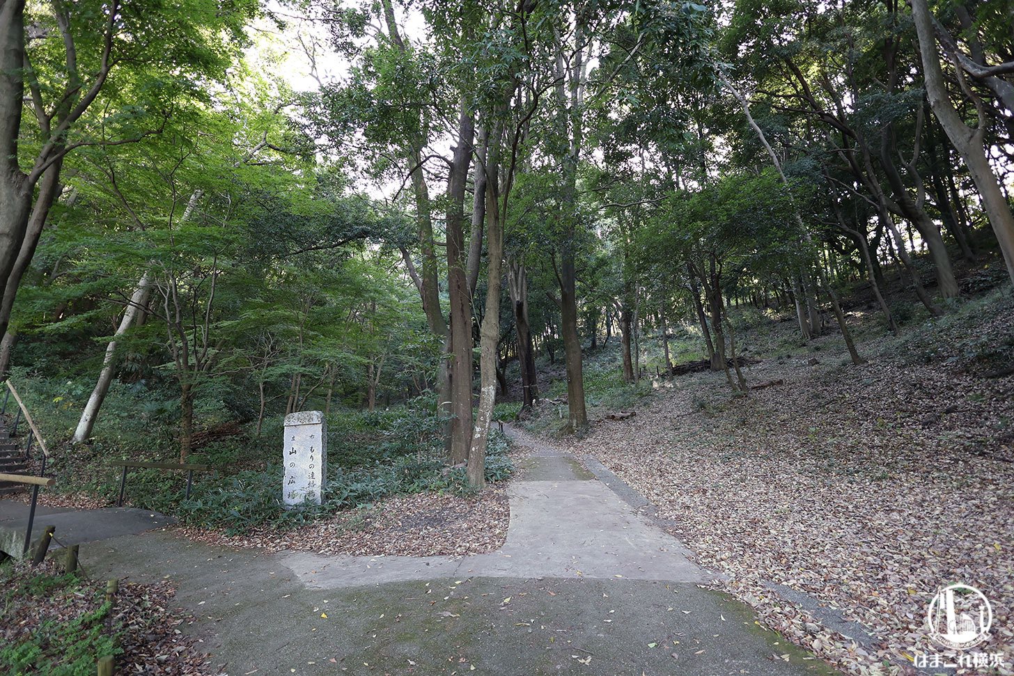 県立四季の森公園 遊歩道