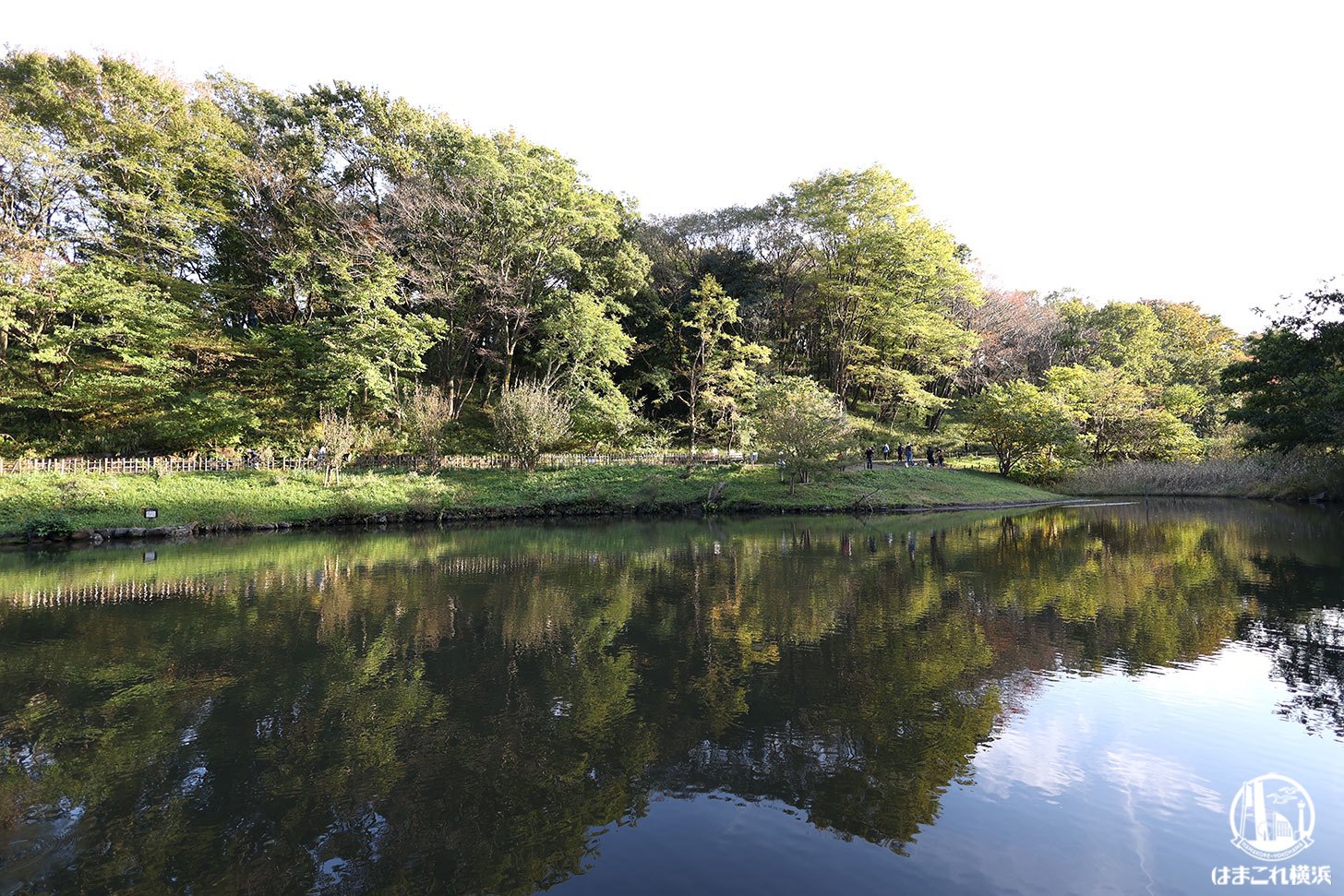 県立四季の森公園 池