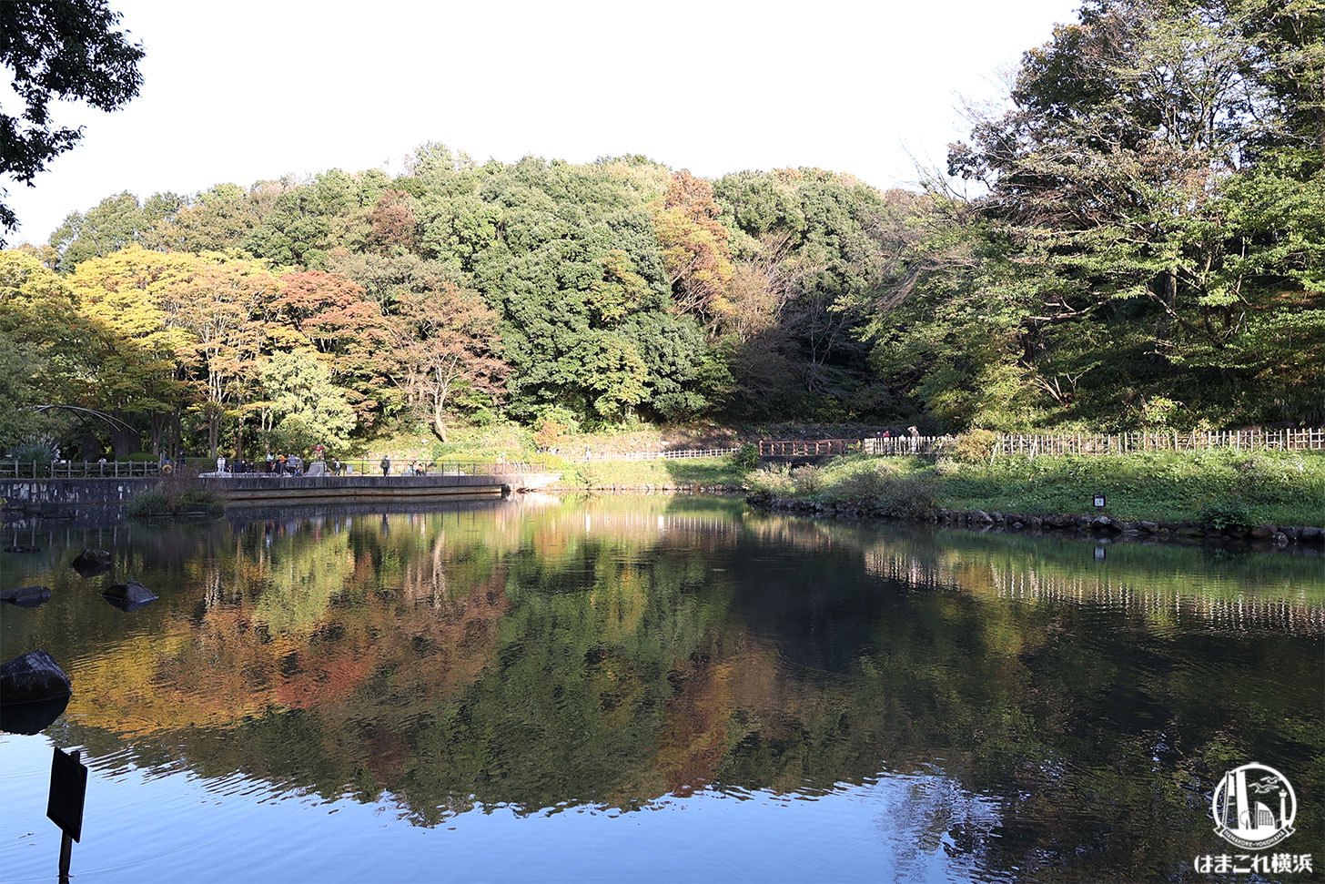 四季の森公園は森や水辺に季節を感じる雄大な自然スポット！横浜・ズーラシア近く