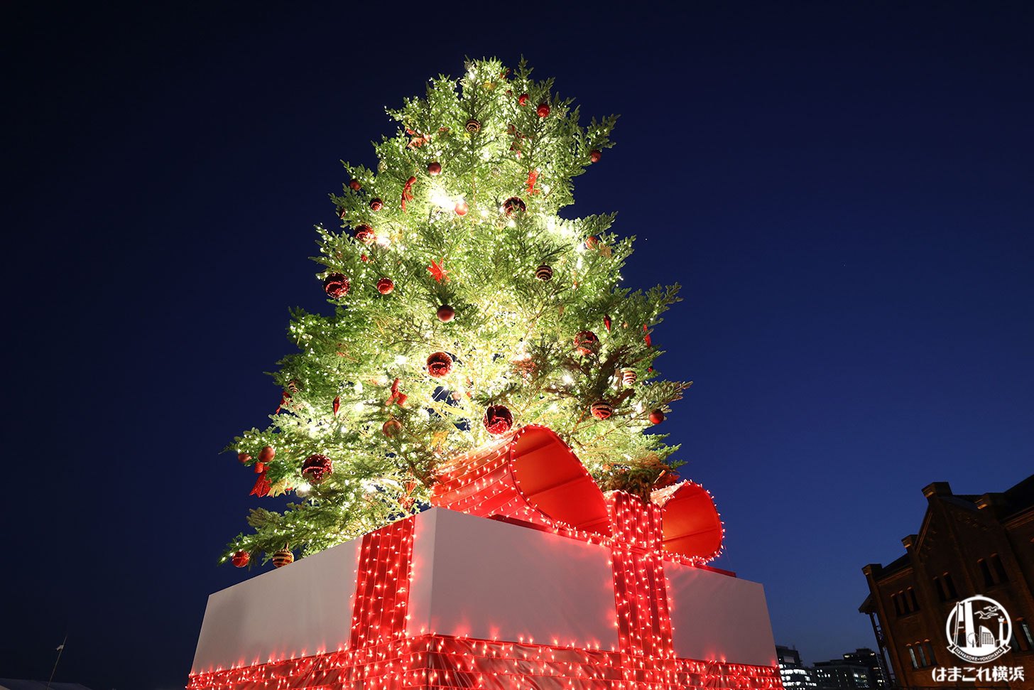 クリスマスマーケット ライトアップしたクリスマスツリー