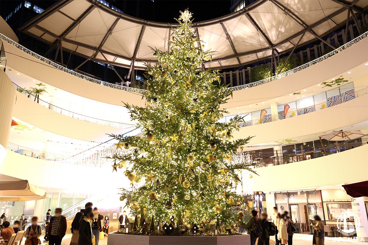   クリスマスツリー 2021 🔶エキスポグッズストア情報🔶 🎀Merry Christmas🎀 クリスマス