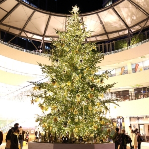 2021年横浜ベイクォーターのクリスマスツリーが美しく可愛い！光輝くカーテンとも共演
