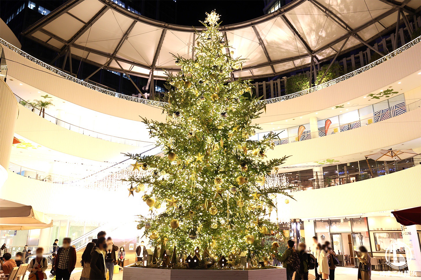 2021年横浜ベイクォーターのクリスマスツリーが美しく可愛い！光のカーテンとも共演