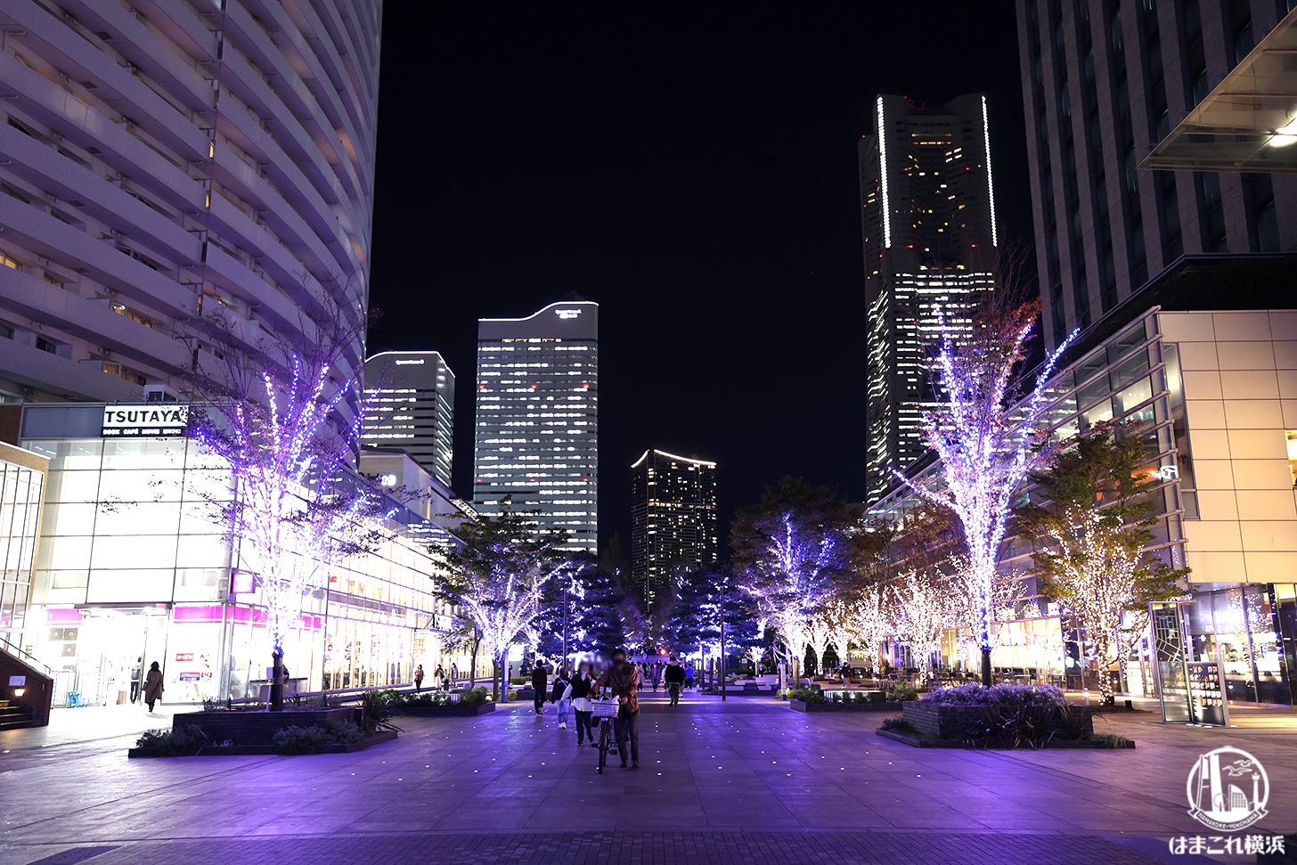 ライトアップされた並木道から見た横浜ランドマークタワーの夜景