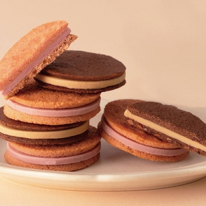 鎌倉紅谷「チョッコ」新発売！第4のチョコレート使ったサンドクッキー
