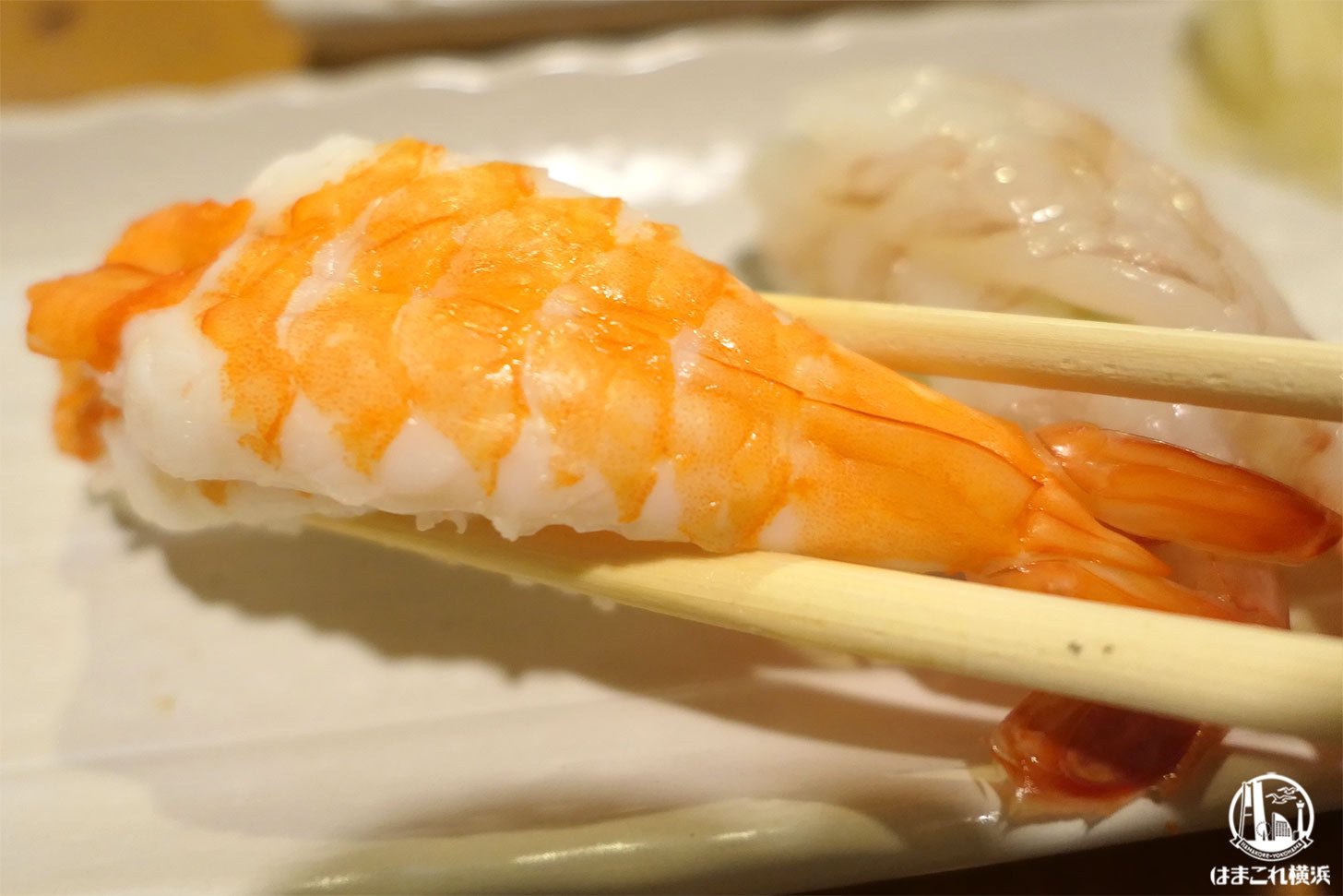 特上の握り寿司 海老寿司