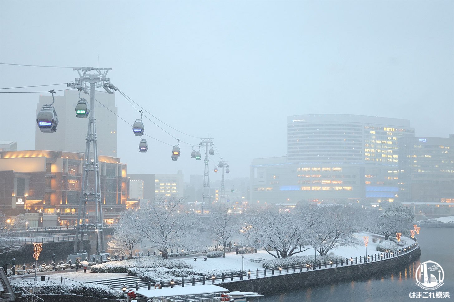 横浜に雪！横浜の雪化粧に魅せられて雪なか散歩フォト