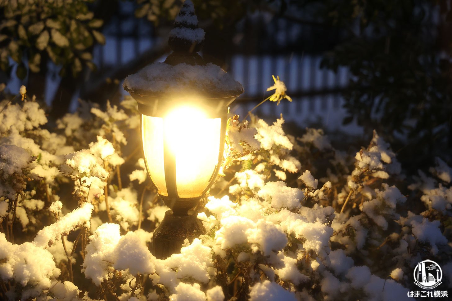 街灯のライトアップと雪景色