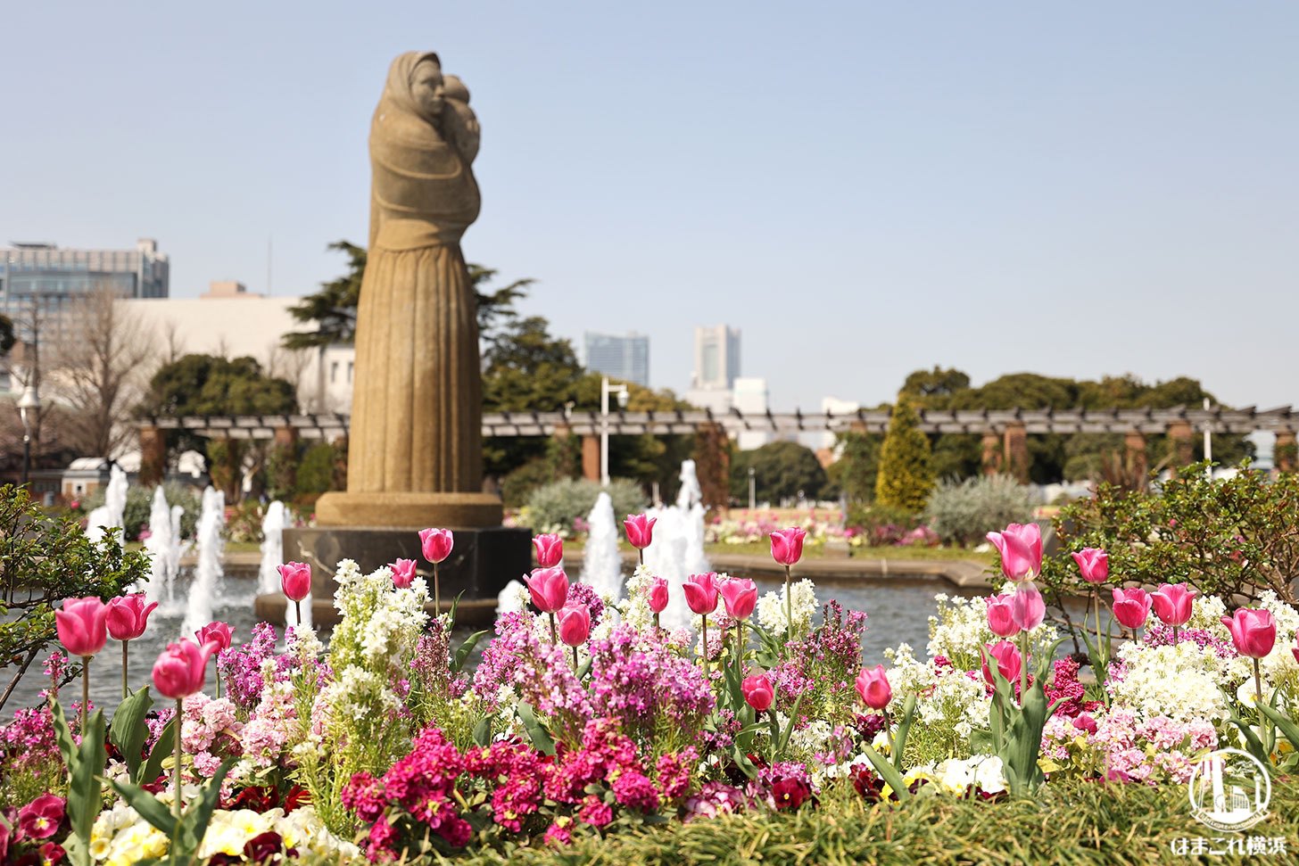 ガーデンネックレス横浜2022 山下公園の花々